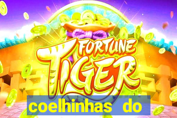 coelhinhas do brasil jp